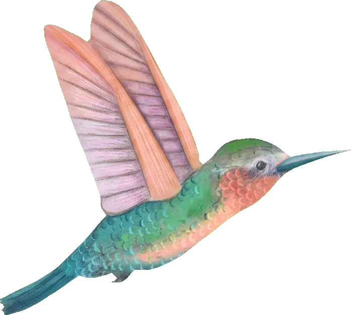 Watercolour hummingbird, the ilm papers emblem